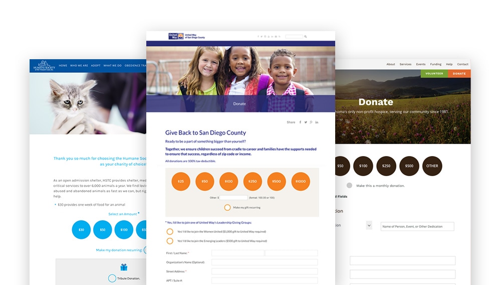 Effective Donation Form Best Practices For Nonprofits In Ispectra